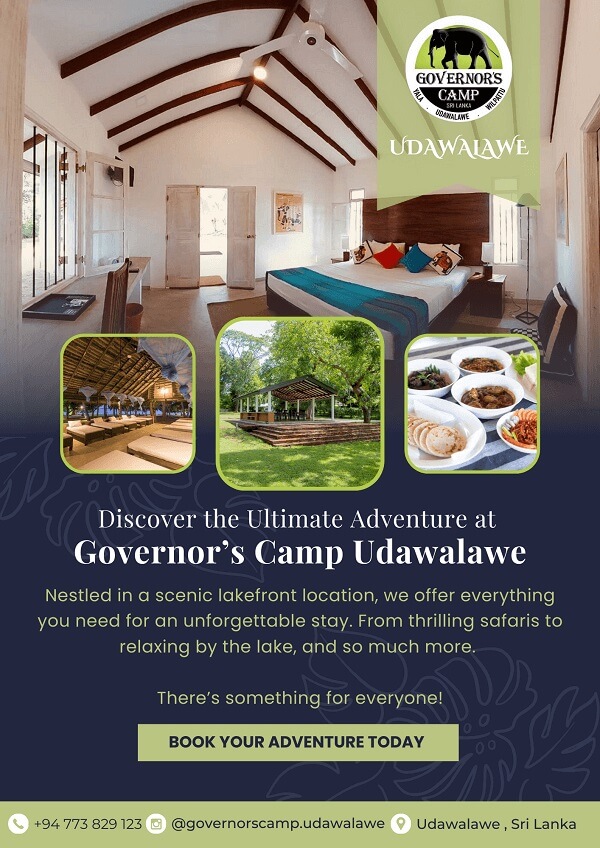 A Lakefront Escape in the Wild at Governors Camp Udawalawe  - Unforgettable Lakefront Adventure in Sri Lanka