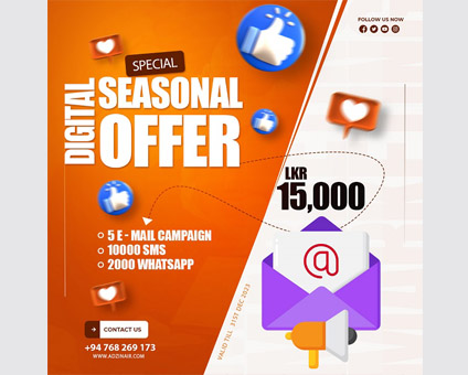Exclusive Digital Marketing Offer - Boost Your Campaigns with Our Seasonal Deal