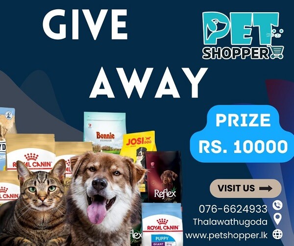 Premium Online Pet Shop in Sri Lanka - Quality Dog Food, Cat Supplies & More