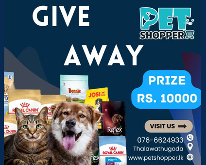 Premium Online Pet Shop in Sri Lanka - Quality Dog Food, Cat Supplies & More